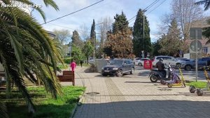 Зеленый солнечный Адлер. Апрель 2026 года