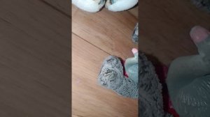 влог.ребята у камеры.