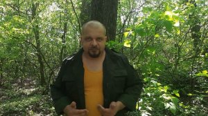 Как себя вести при встрече с больной бешенством лисой