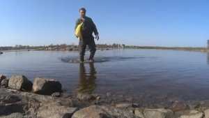 РЫБАЛКА ПО СТАРИНКЕ! НА СЕВЕРЕ БЕЛОГО МОРЯ В БРОДНЯХ НА КОЛЫ И СЕТКИ