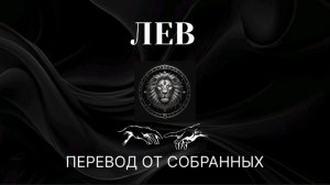 ЛЕВ. ПЕРЕВОД ОТ СОБРАННЫХ #лев