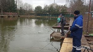 Ловится форель в Липках