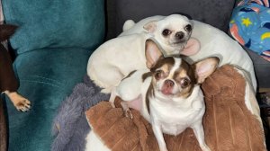 Доброго всем вечера и самой спокойной ночи!