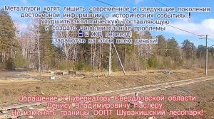 Обращение к Губернатору Свердловской области Денису Владимировичу Паслеру
