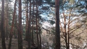 Поговорим о настоящей дружбе