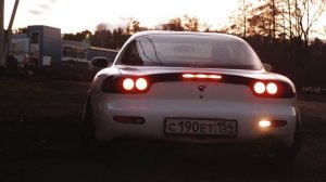 Dancing Bird - Vibe Collapse (Car Video)