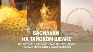 Васильки на тайском шелке. Знакомимся с культурой Таиланда и местными обычаями. Серия 2