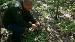 Добыча огня в лесу | самый быстрый и легкий способ