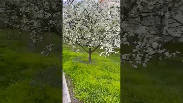 Ох... апрель