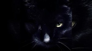 Escape, Evade, Eat, Evolve