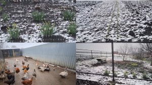 Снег выпал❄️Жизнь деревенская