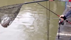 11.04.26 г. РК Волна.