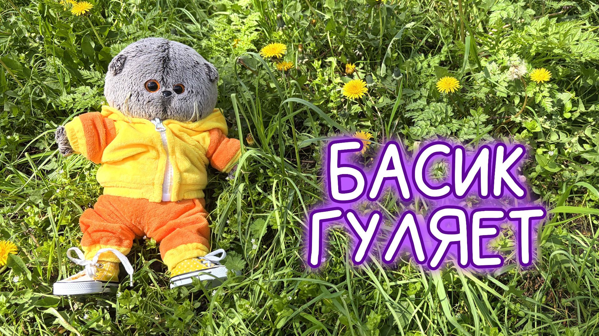 🐱ПРОГУЛКА С БАСИКОМ🐱