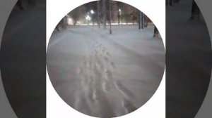 9 апреля у нас зима видео с моего канала в max.