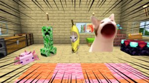 Банана кот пришел в Майнкрафт! мемы с котом. Мультики для детей. Яркие Мультики. Детские мультики