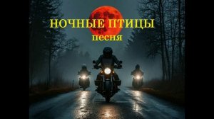 НОЧНЫЕ ПТИЦЫ песня