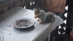 Маруся в феврале.