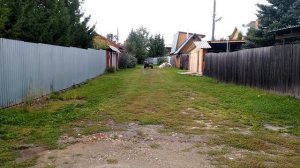 Моргуновка ходовые