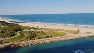 Лиса в Америке Муж уехал в круизОгромный лайнерПервый день в круизеМайамиЖизнь в США Сюрприз