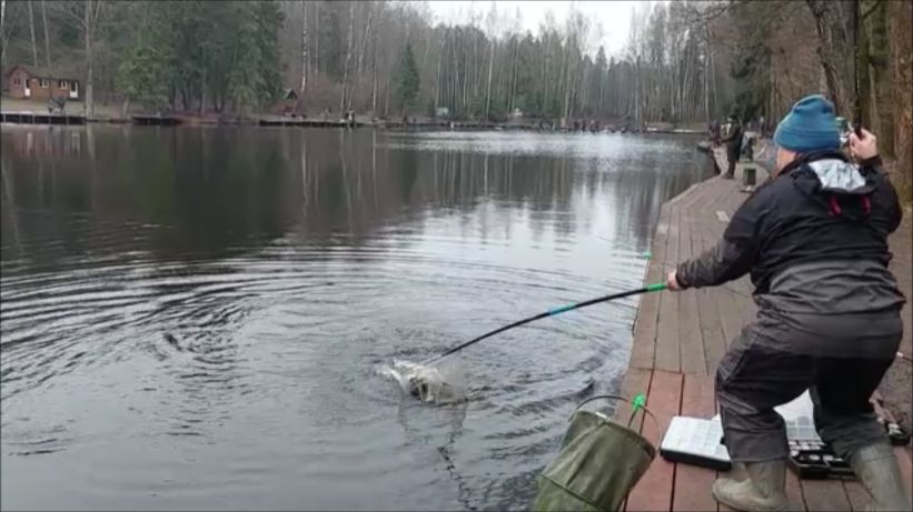 Открытие весеннего сезона по жидкой воде на нижнем водоёме. Клёвое место, Лосиный остров.