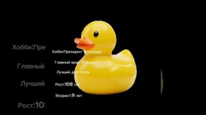 ИНФОРМАЦИЯ ОБ УТКЕ