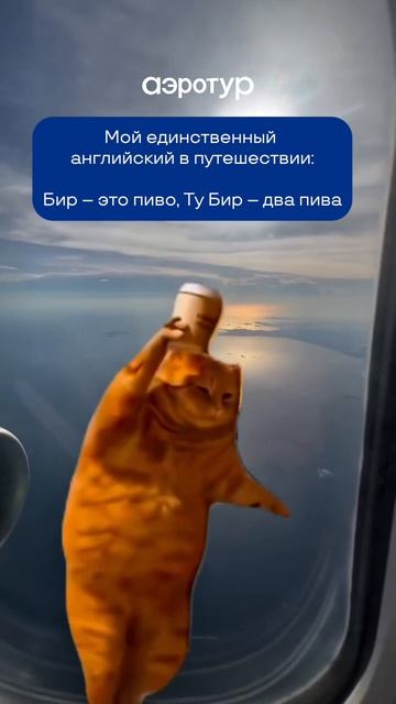 Этого достаточно, чтобы выжить в поездке? 😂