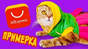 КисКис: Кошачья примерка! Одежда с AliExpress 😹👗
