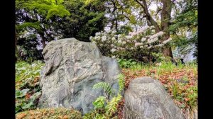 54.Садовое, терапевтическое.