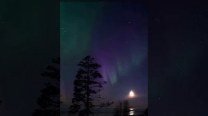 Михаил Васильевич Ломоносов в студии театра Гамаюн