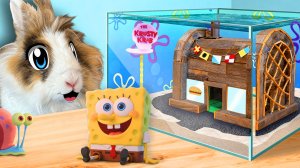 СОЗДАЛИ АКВАРИУМ ГУБКИ БОБА! БИКИНИ БОТТОМ В РЕАЛЬНОЙ ЖИЗНИ