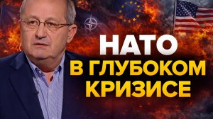 Яков Кедми об угрозах Трампа, будущем Европы и НАТО, слабости европейской армии