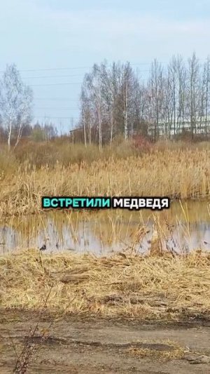 Спасибо, успокоили