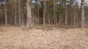 Открытие сезона 2026 март река Шлина