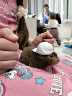 единорожка Огна