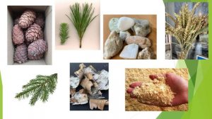 Применение конструктивного метода в региональной образовательной среде для старших дошкольников ТНР