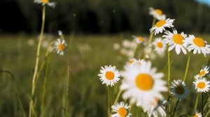 Она КРИЧАЛА от боли умоляя спасти ребёнка и оказалась лицом к лицу с БОГОМ КЛИНИЧЕСКАЯ СМЕРТЬ