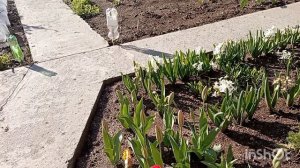 Утро субботы.Погода отличная.