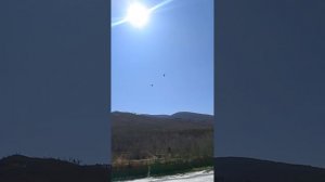 г.Чита Этно-Археопарк Сухотино.