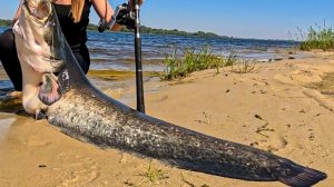 Нереально Крутая Зимняя Рыбалка 2026 Поймали Сома в Самом Неожиданном и Секретном Месте Рыбалка 2026