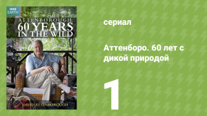 Аттенборо. 60 лет с дикой природой 1 серия (документальный сериал, 2012)
