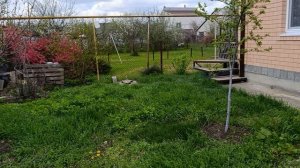 Красота. Всё цветёт