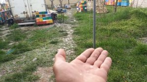 11.04.2026г. Град.