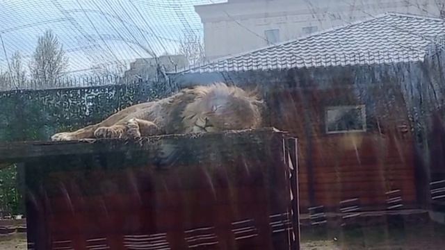 DZPM9537_Видео от Ивана 10.04.2026