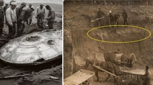 Крестьяне добывающий торф обнаружили древнюю подземную капсулу