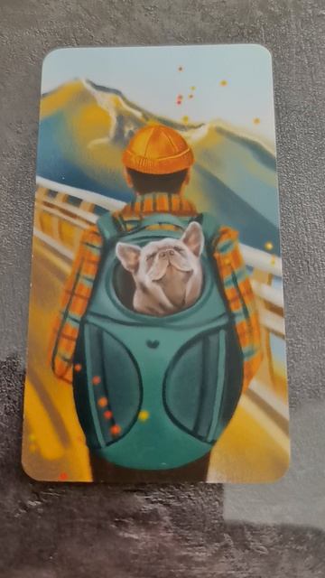 Метафорические ассоциативные карты техника карта дня