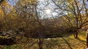 #ВДОВА# Интересная история из жизни