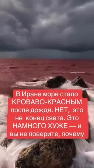 Кровавое море: когда природа бьет тревогу.