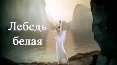 Лебедь белая