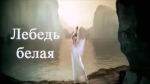 Лебедь белая