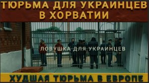 КОЛОБОК: ВОРОВАТЫХ ШУМЕРОВ СОДЕРЖАТ В ТЮРЬМАХ, ГДЕ ХУЖЕ ЧЕМ В БЕЛЬГИЙСКИХ ЗООПАРКАХ ДЛЯ НЕГРОВ